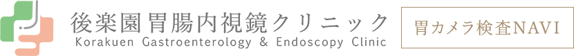 後楽園胃腸内視鏡クリニック Korakuen Gastroenterology & Endoscopy Clinic 胃カメラ検査NAVI