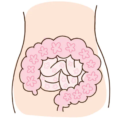 腸内フローライメージ